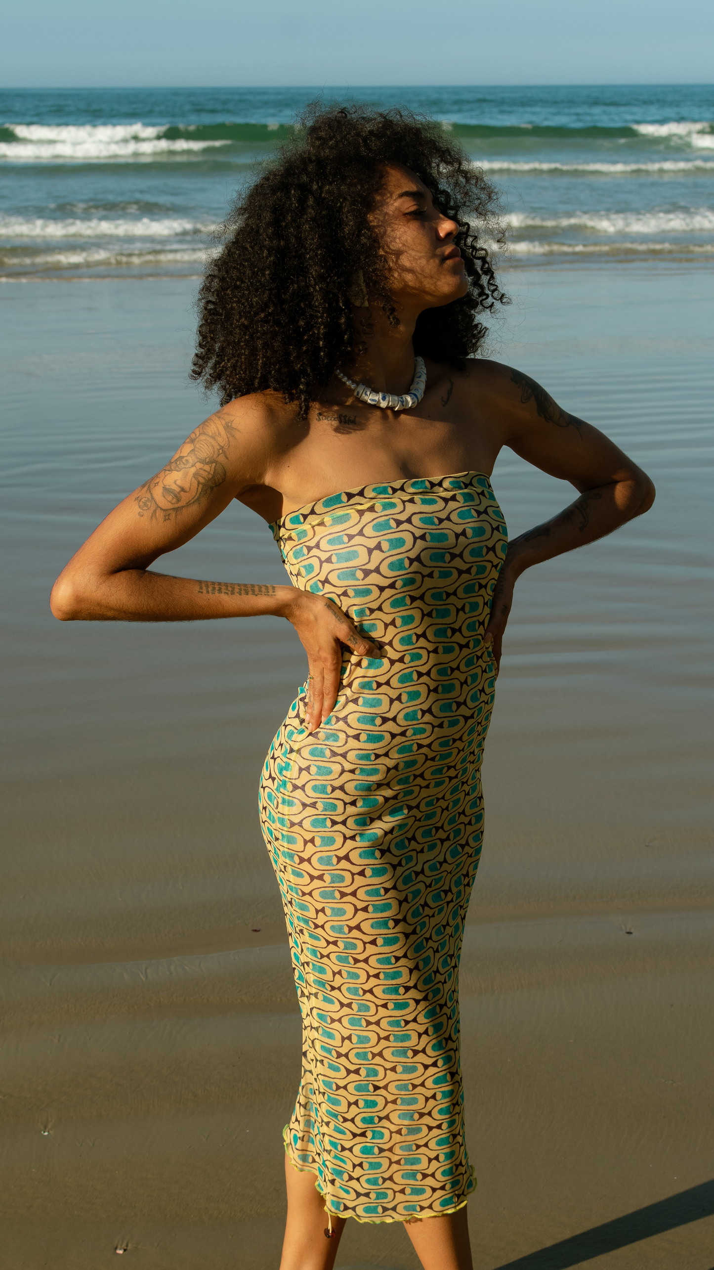 Vestido Saia TQC Tule  | Print Cardume Luminar